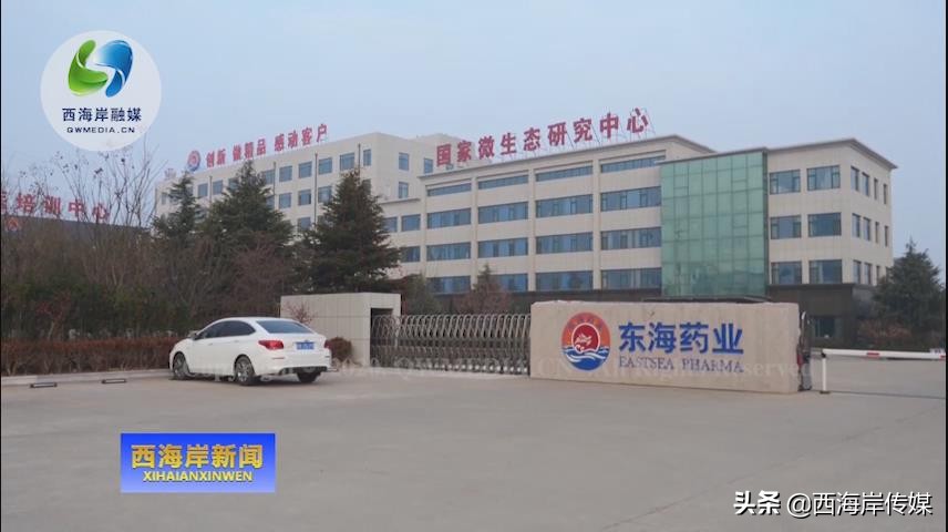 青岛东海药业益生菌,青岛胶南东海药业