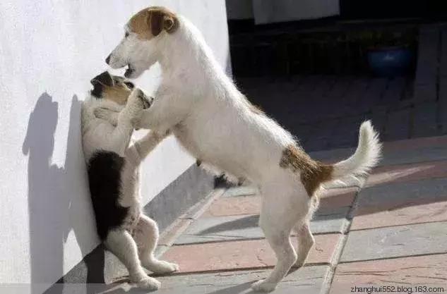 让那个男会计赶紧滚蛋！——小霞会计