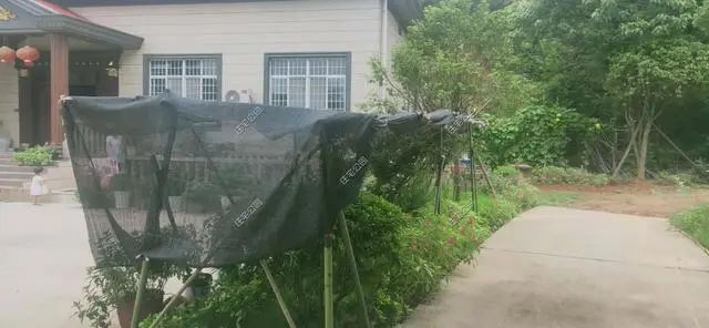 湖南陈先生30万自建农村小平房，有假山有菜园，占地1亩就是爽