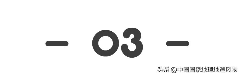 想不到！一粒小麦竟这样改变了中国