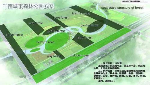兴隆县郊野公园,盘锦兴隆台东边有个新建的公园