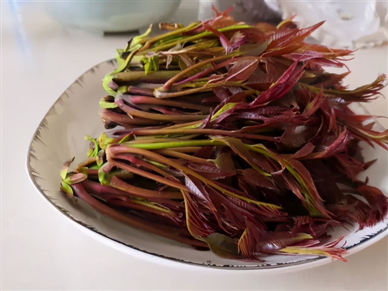 诗人笔下的香椿,描写香椿的散文