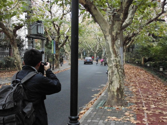 此劳模新村何以植物命名马路，以至美得像江南园林？