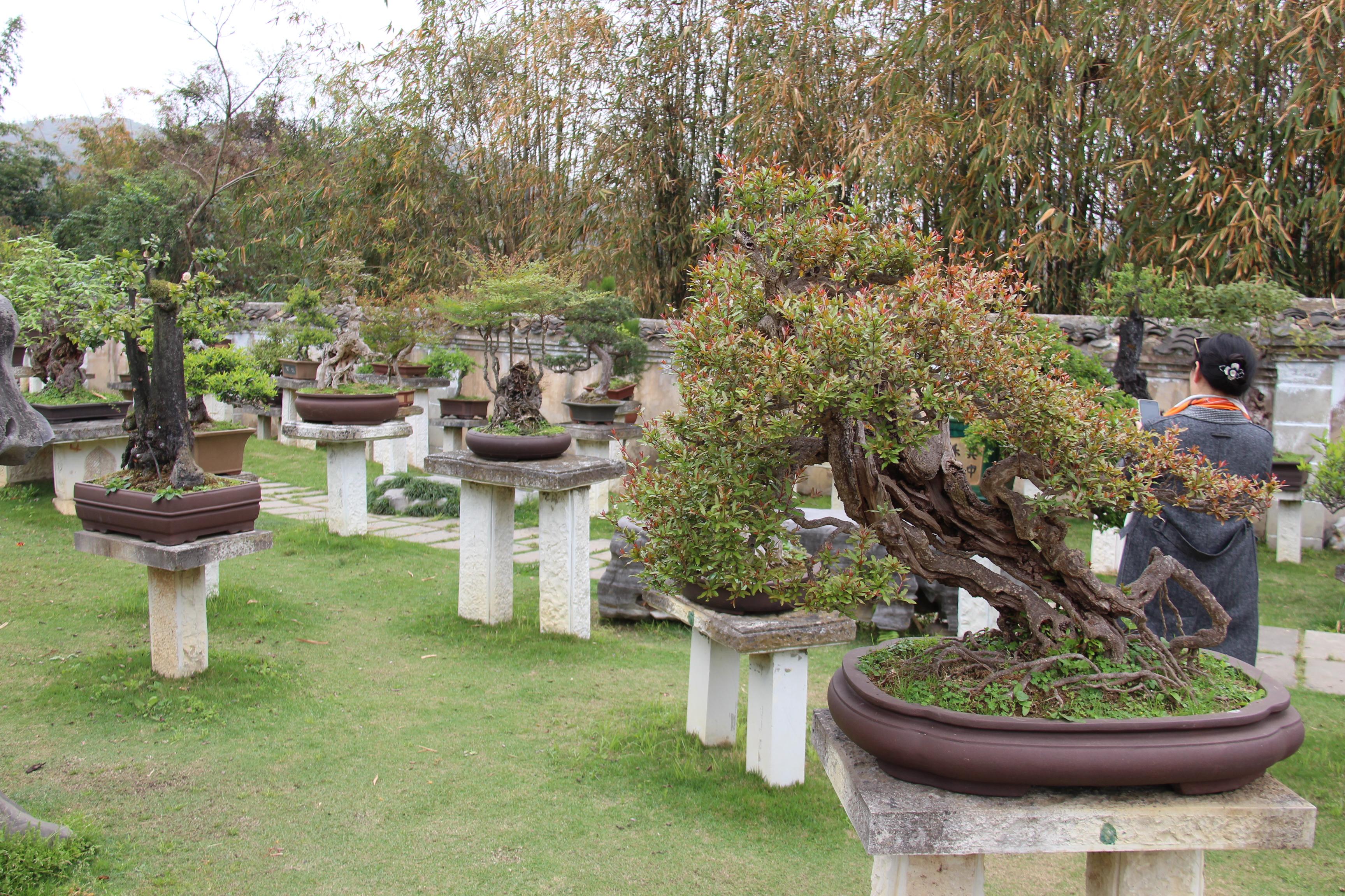 贵州黄果树天星桥瀑布太美了,打卡贵州安顺黄果树大瀑布景点