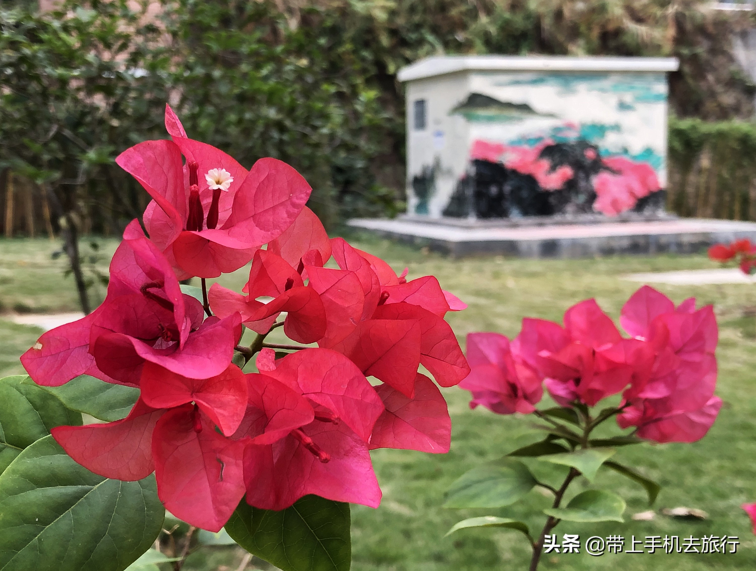 “减法”、虚化和“加法”，让画面瞬间干净简洁唯美