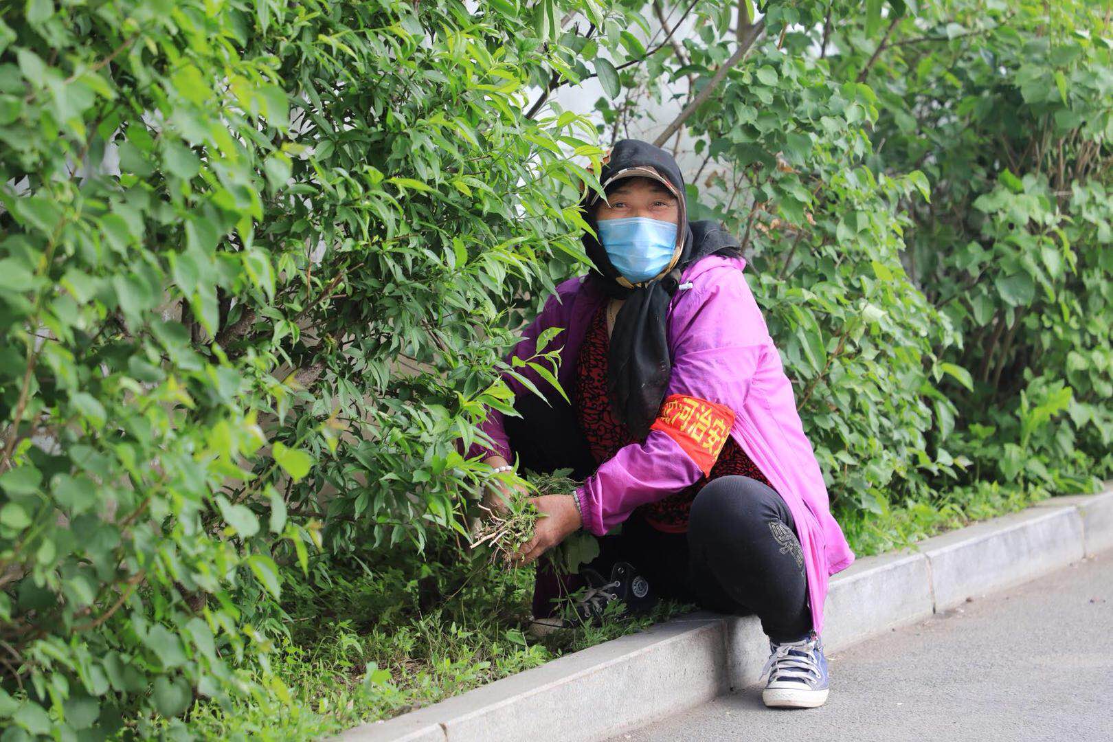 沈阳市福康社区,沈阳福康社区