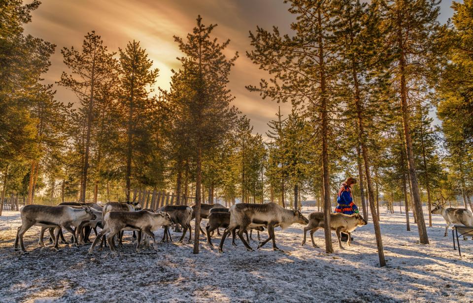 圣诞老人毁灭世界,圣诞老人被杀掉的故事