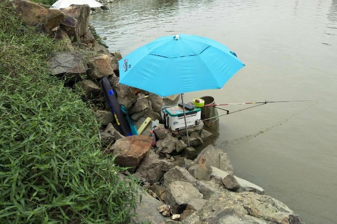 不是我吹，杂鱼再“猖獗”也敌不过这5招，骨灰级钓手强烈推荐