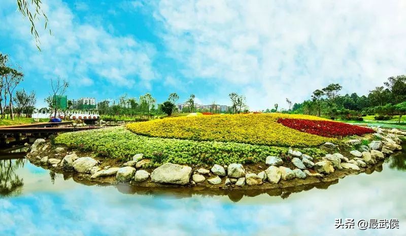 第八届贺岁杯怎么没有潘晓婷,cctv贺岁杯决赛