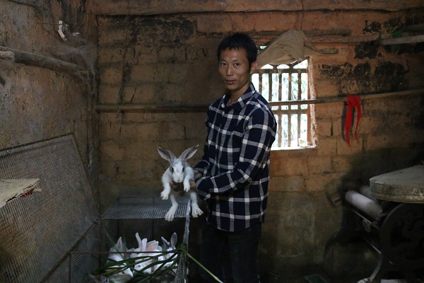 浪子回头金不换靠自己努力,浪子回头金不换诚信为本