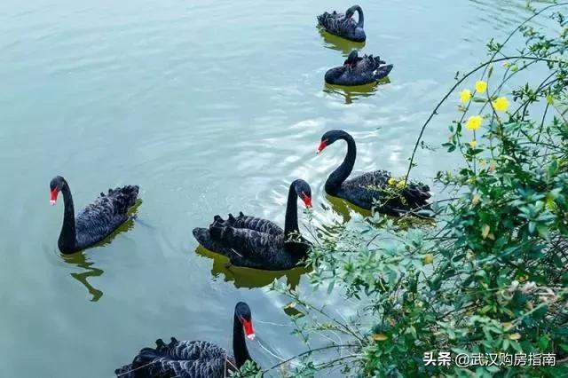 武汉第四座火车站什么时候开通,武汉未来8大火车站