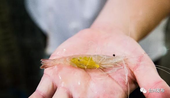 台州人自己说台州的话,台州人真的很懂生活