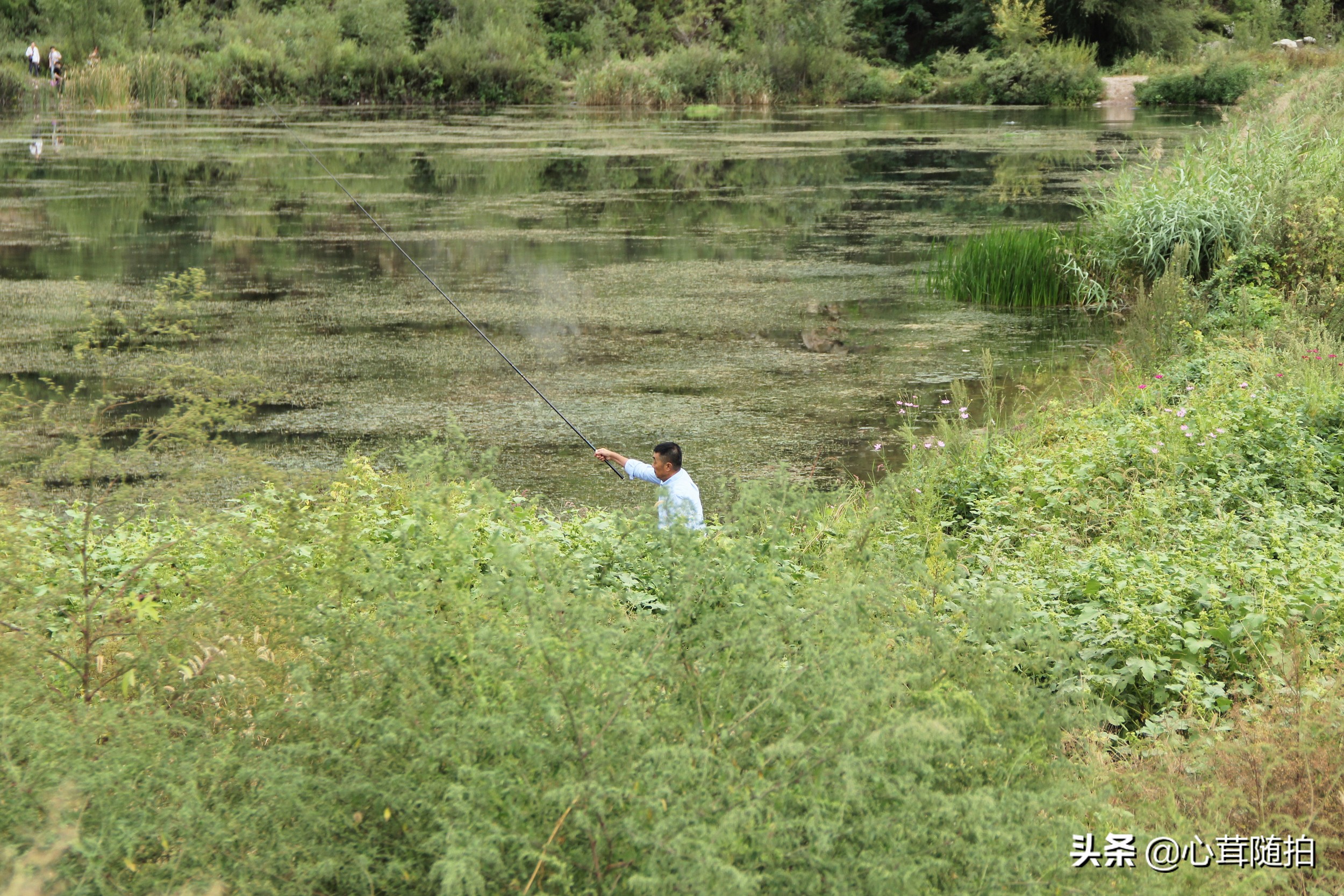自驾白河湾,白河湾自然风景区自驾