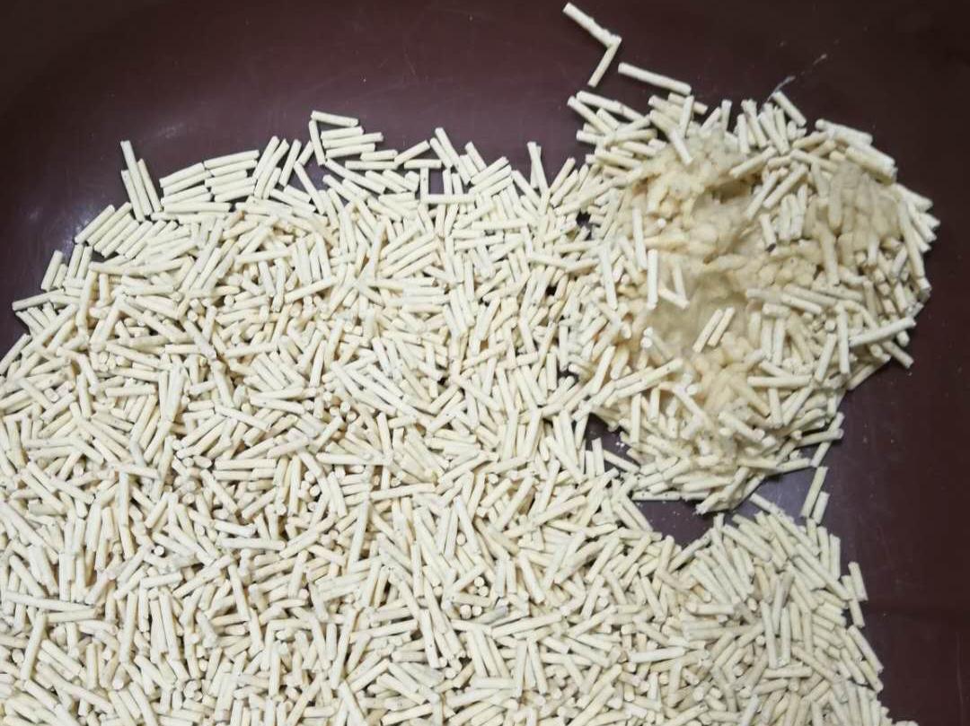 当猫咪遇见病痛,当猫咪突发心脏病如何急救