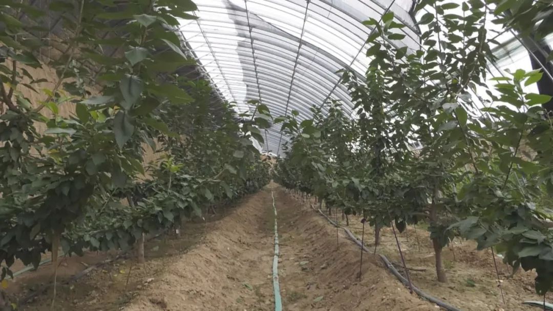 走基层看变化,走乡村看变化