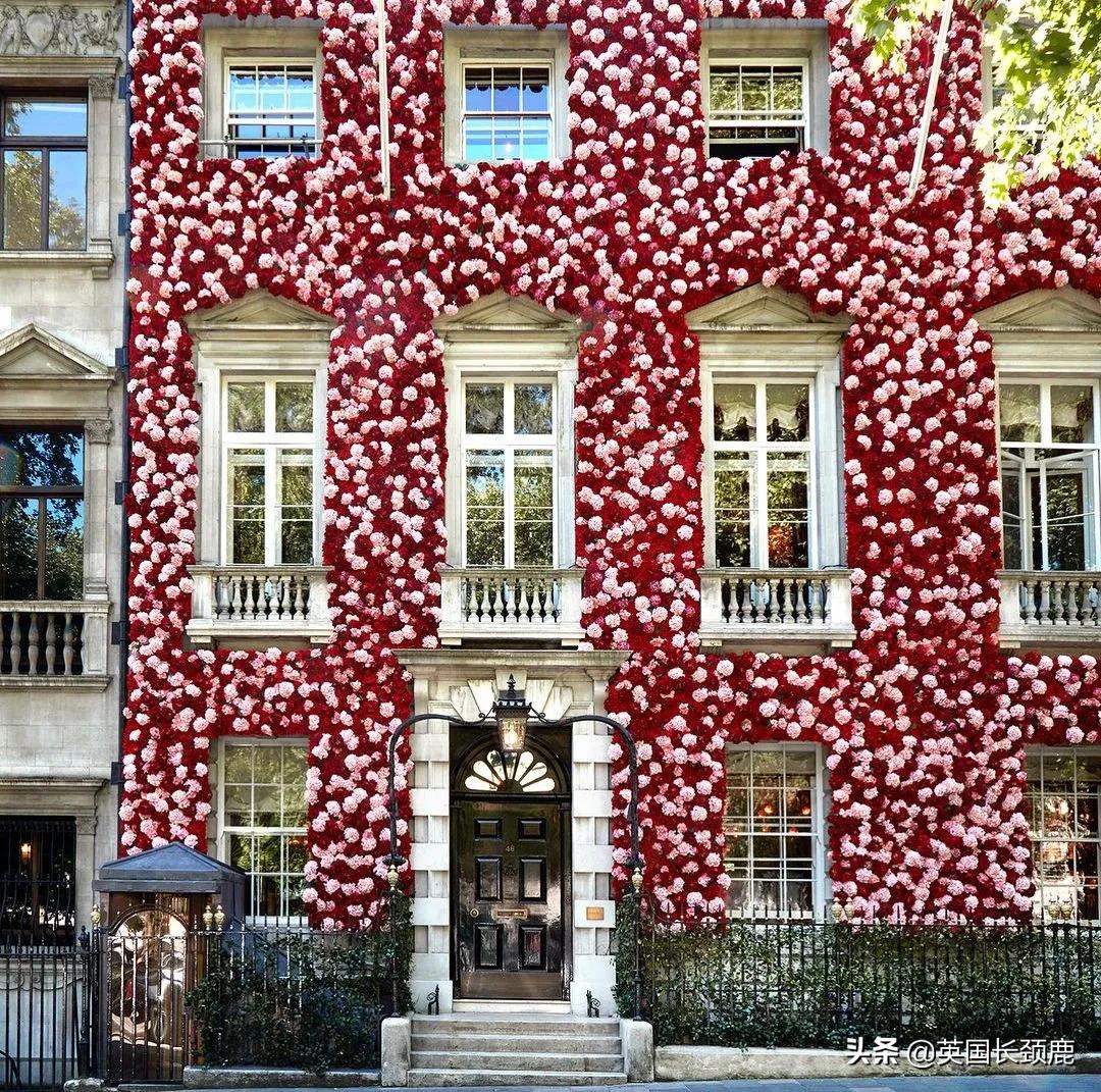 520/521：五月阳光下，伦敦依然盛放。记得常回来看看