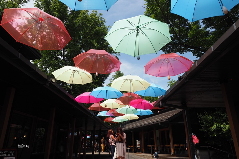 日本东京美食攻略自由行,东京旅游美食自由行路线攻略