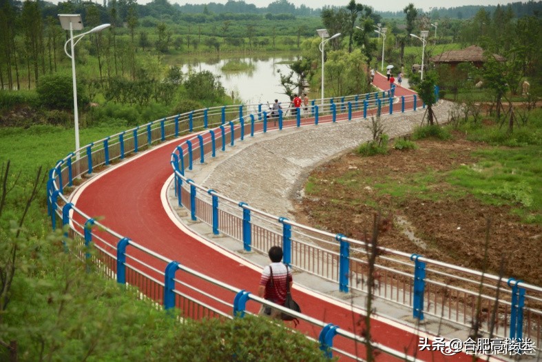 合肥五一旅游景点攻略大全,五一假期合肥旅游人气爆棚