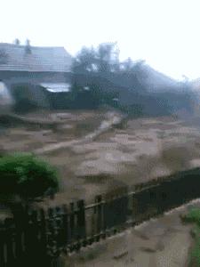 图集|如果侃爷当了美国总统，大家岂不是可以看第一夫人开车？