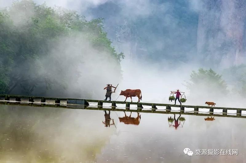 楠溪江为什么叫山水画摇篮,中国山水画林泉高致