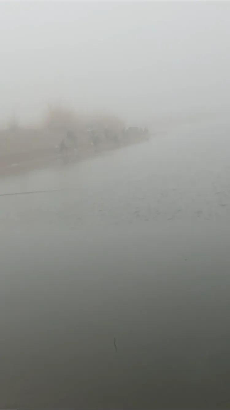 饵料放在汽车后备箱味道怎么解决,气温升高车内有异味