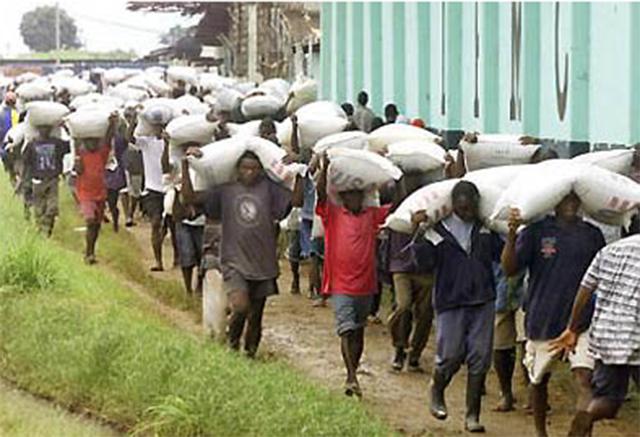 高仿的“非洲小美国”：照搬照抄美国制度，却成了非洲的笑话