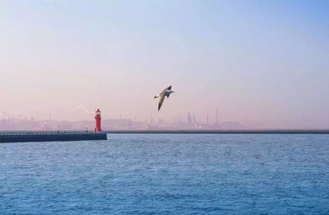 戴口罩的冬天太漫长，差点忘了中国的春天有多美