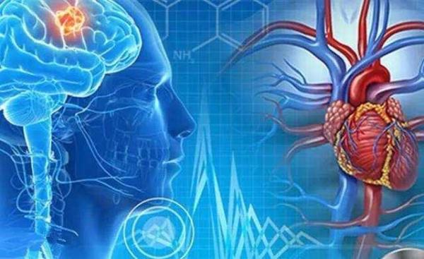 预防心脑血管吃什么食物最好,哪些食物可以清理血管垃圾