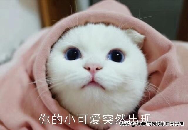 比较小众的日本网红,值得推荐的日本小众品牌