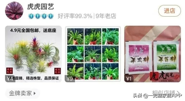 春天花会开|这20家植物淘宝店，植物杀手看了也想买！