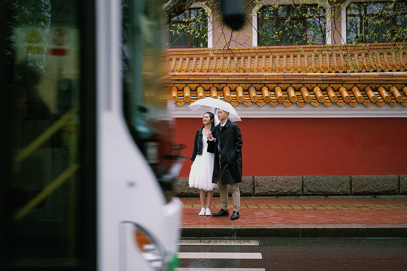 苹果手机摄影自学入门,拍照摄影入门教程自学