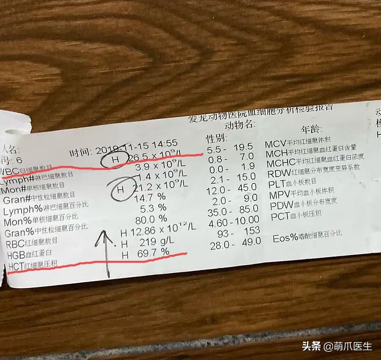 哪个品牌的猫粮把猫吃死了,go猫粮出事后怎么办