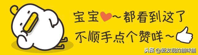 计算机快捷命令大全,计算机配置命令大全