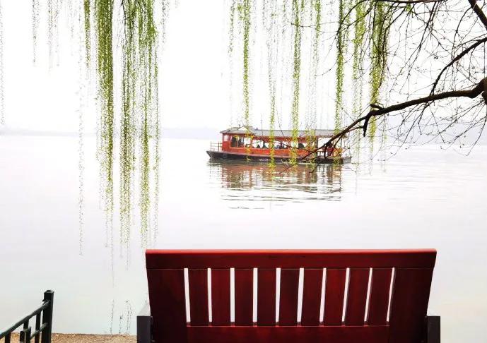 贺知章古诗《咏柳》赏析,咏柳贺知章古诗背诵