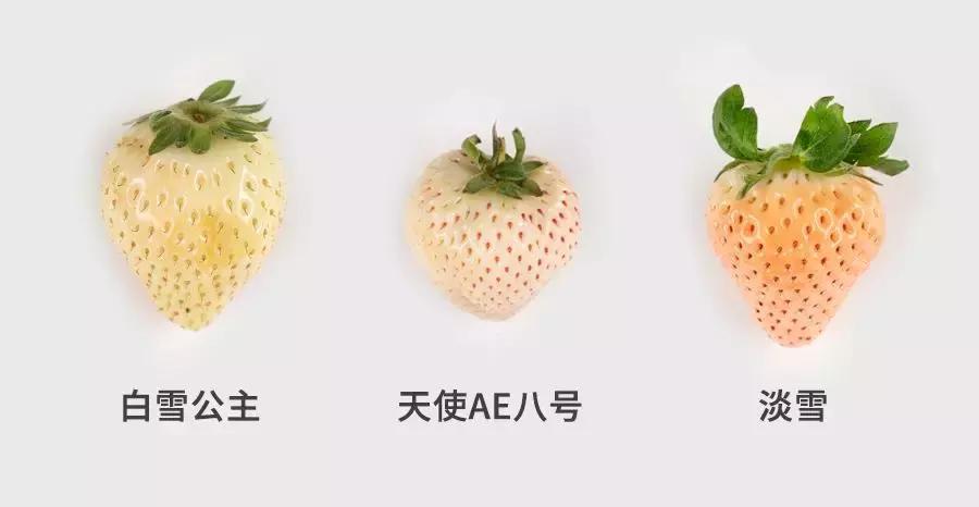 一下子吃了30颗草莓,吃了半斤草莓