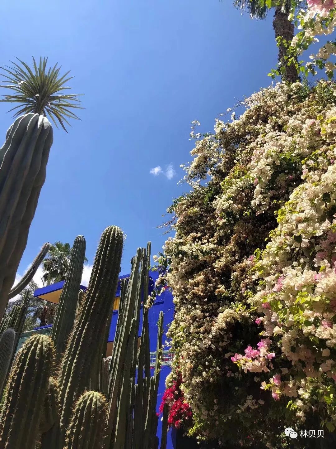 摩洛哥10天,摩洛哥12天瘦5斤减肥成功案例