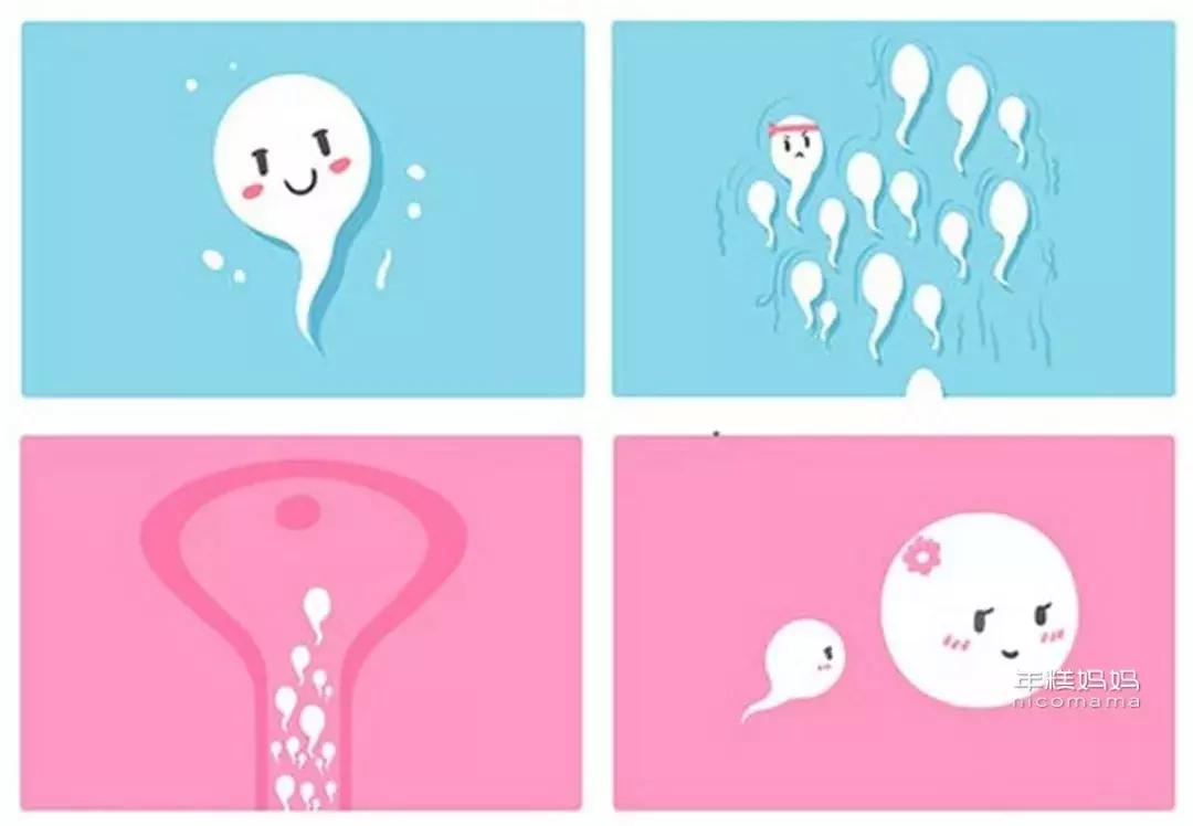 性教育的根本任务是什么,性教育要具体到什么程度