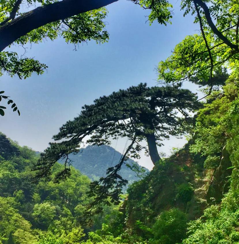 小长假的第二天视频,小长假5天旅游攻略