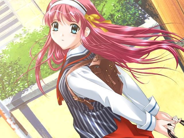 Boin之极意——八宝备仁