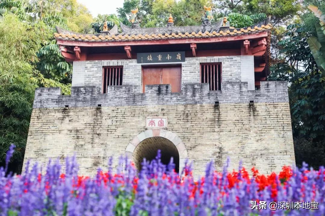 深圳有哪些地方免费景点,深圳都有什么景点免费游玩