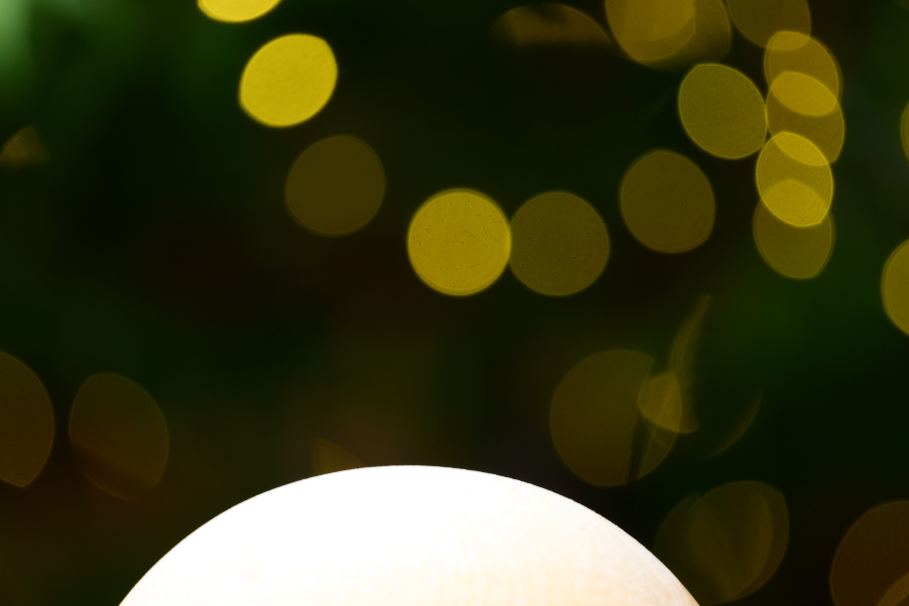 适马sigma60-600mm拍月亮,适马sigma18-50mmf2.8dcdn测评