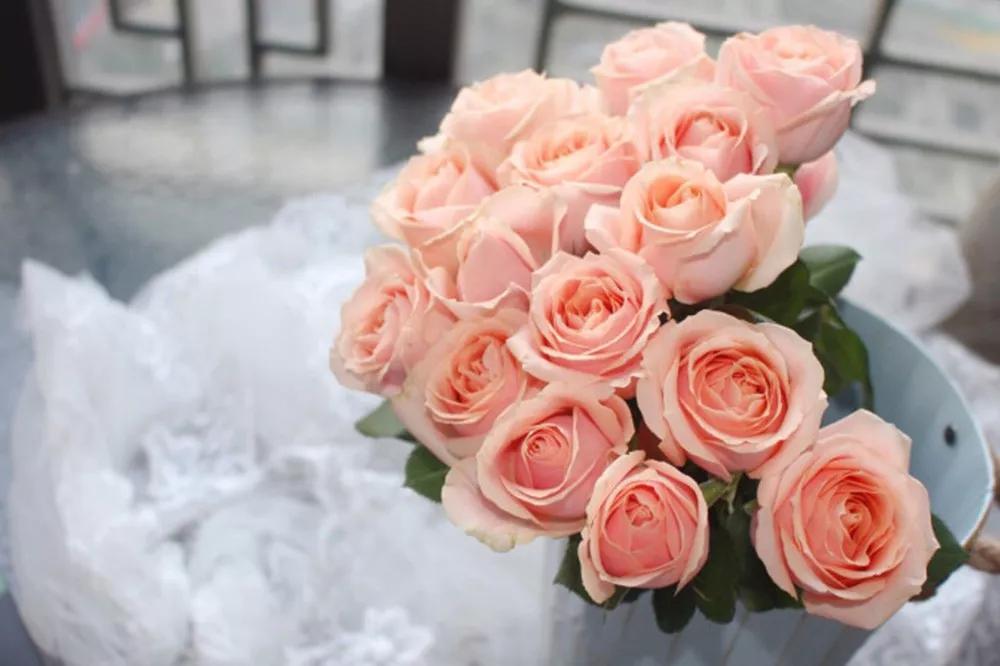 花店常用玫瑰花品种大全,一篇文章带你认识三亚40种花