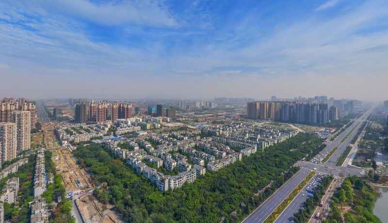 成都网友投诉怡丰新城小区榕树成灾危及行人，高新管委会回应