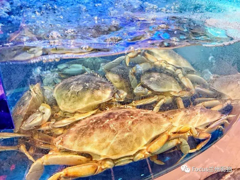 兰州好吃又实惠的海鲜,兰州值得推荐海鲜店