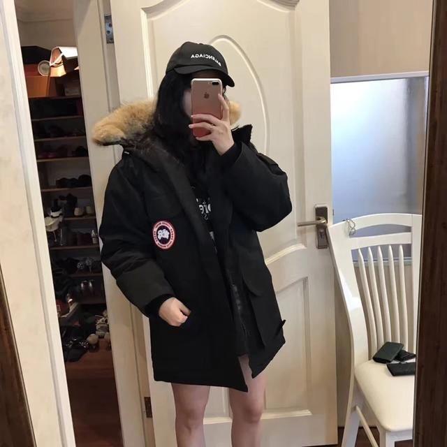 满大街都是加拿大鹅,满街加拿大鹅