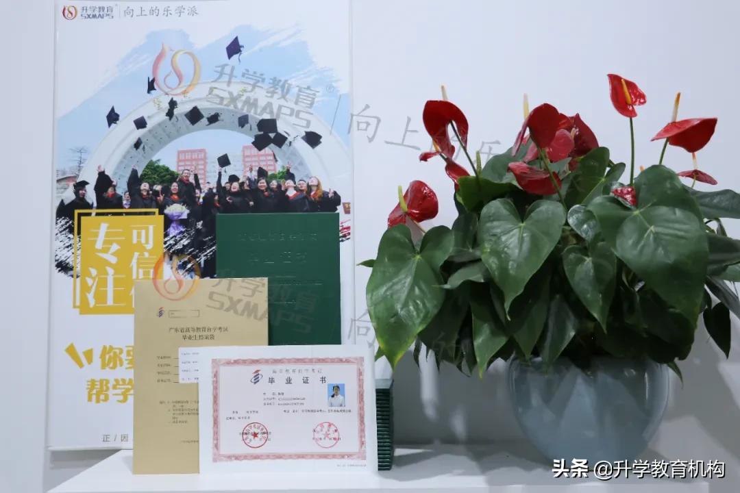 自考和成人自考哪个含金量高,短线自考和长线自考哪个含金量高