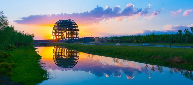 美丽迎春花开了,迎春花盛开的绝美春日盛景