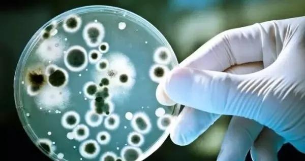 如果你的孩子得了病怎么办,儿童得胆结石怎么处理比较好