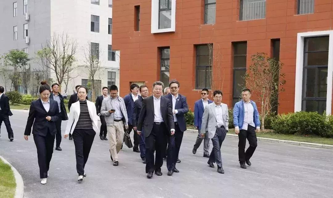 新站未来的潜力板块在哪里,新站发展最新消息