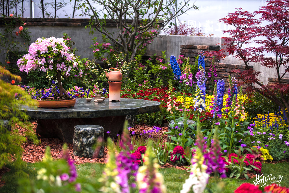 上海国际花展一览表,上海国际花展一览